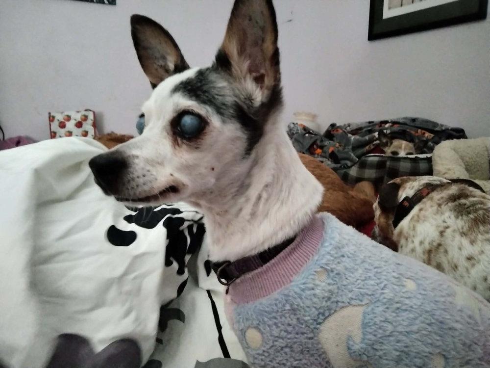 Lil Bit - Mom! I think I see something over there!