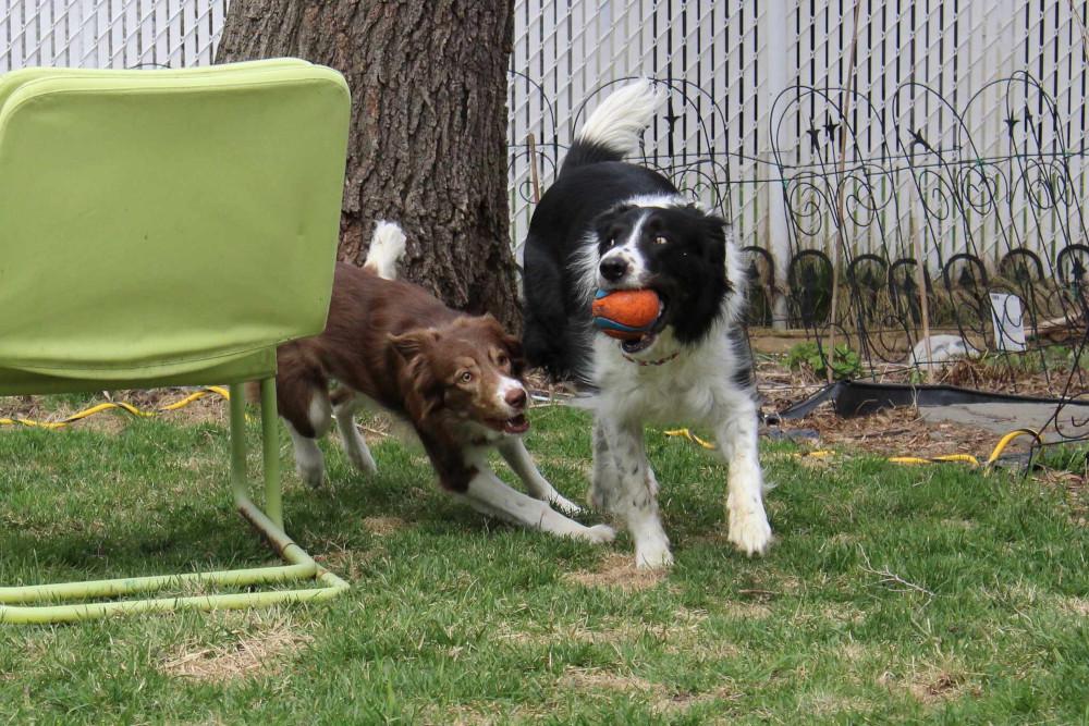 Ginger -  - Give it to me! Give it to me! Give it to me!