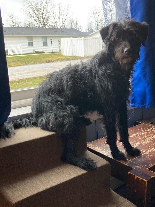 Josey -  - I am to guarding the house BOL!!
