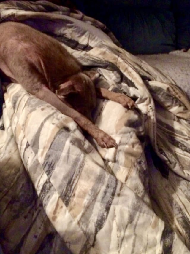 Rosco -  - Obviously, I had just clocked out after a hard work day.