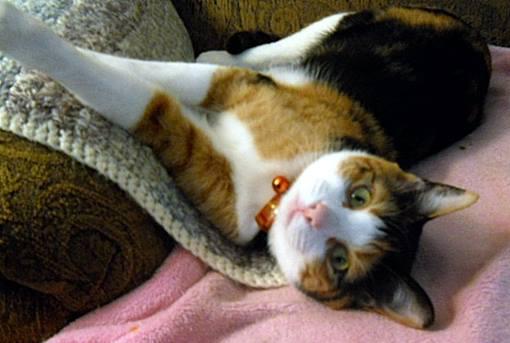 Mallee -  - Milos sisfur n mommys lovely lil gurl, alwayz lubbed.