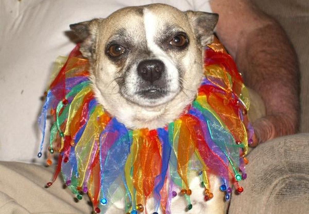 Rubio -  - Rubio did not like his souvenir from New Orleans.