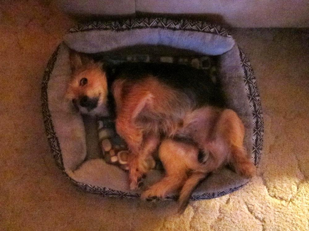 Murphy -  - Shame?  What shame?  I have no shame.