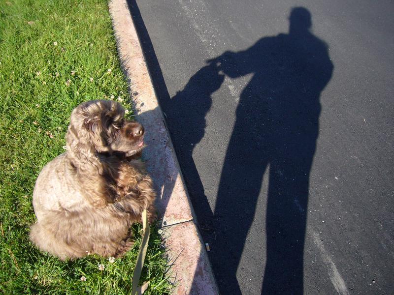 Hershey -  - Shadow of a Memory
