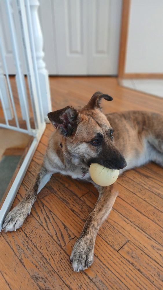 Brin -  - Let`s Play Ball