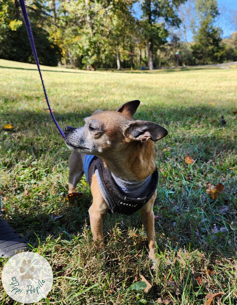 Indy - Is this my good side?