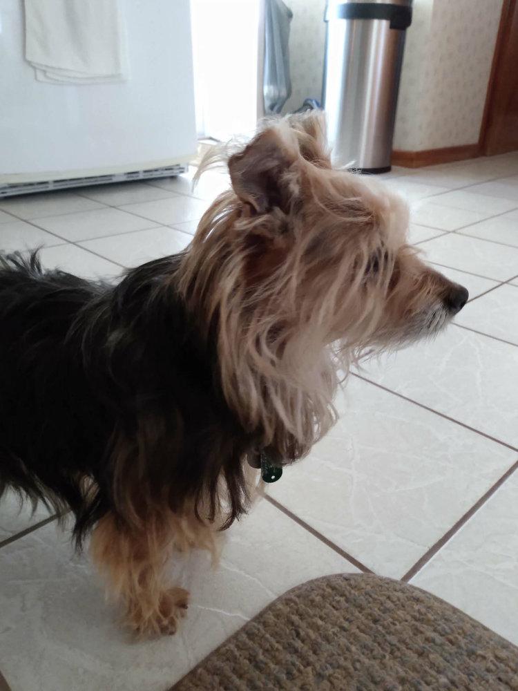Murphy -