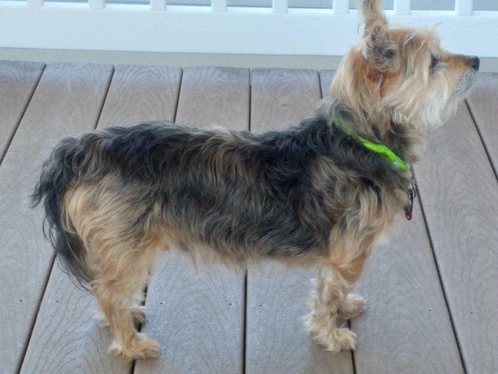 Murphy -
